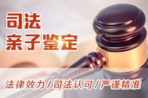 毕节司法亲子鉴定需要怎么做,毕节司法DNA鉴定大概多少费用