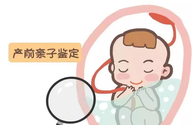 在毕节怀孕期间怎么鉴定孩子是谁的,孕期亲子鉴定精准吗